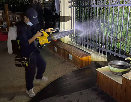 学校虫控案例