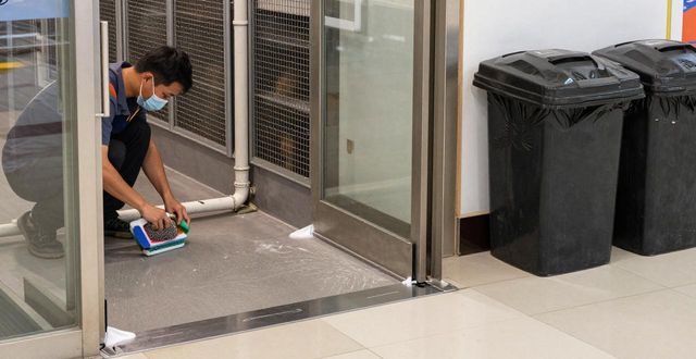 商场老鼠总咬破商品怎么办_商店老鼠太多怎么办_商场灭老鼠